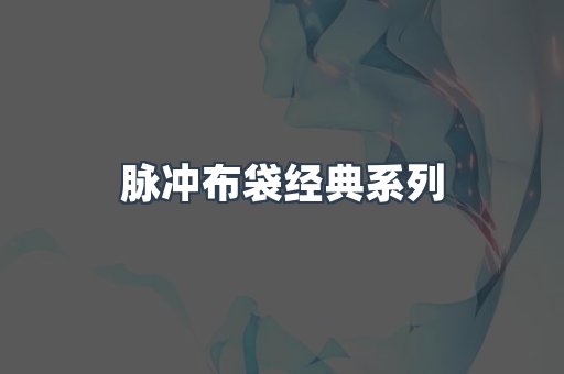 脉冲布袋经典系列